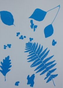 Zeefdruk Natuur